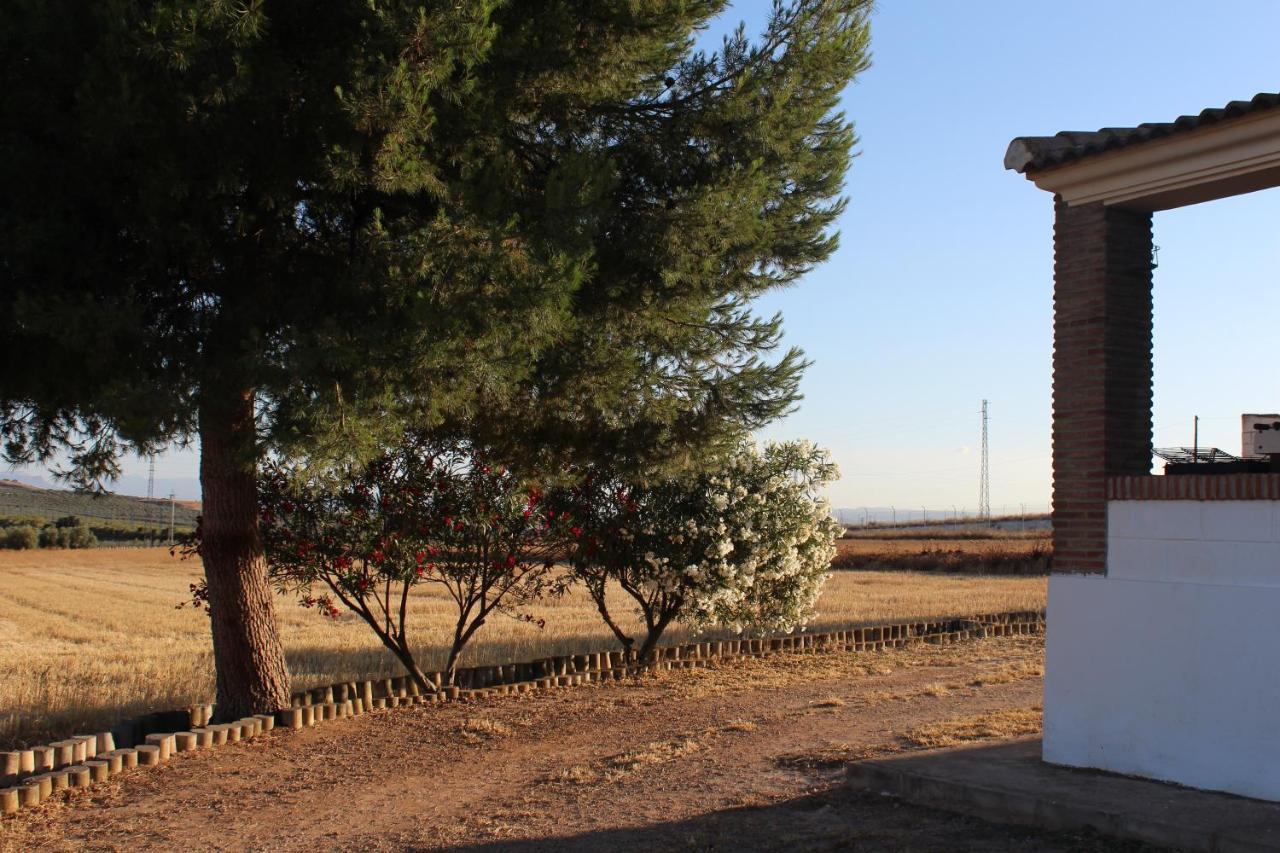 Casa Rural La Rosa De Los Vientos Fuente de Piedra Buitenkant foto